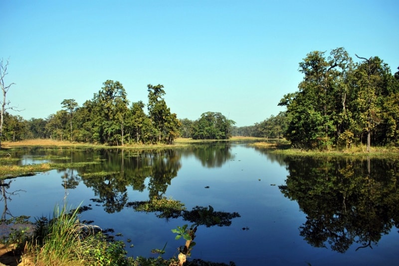 Sambara Chitwan Jungle Lodge Package