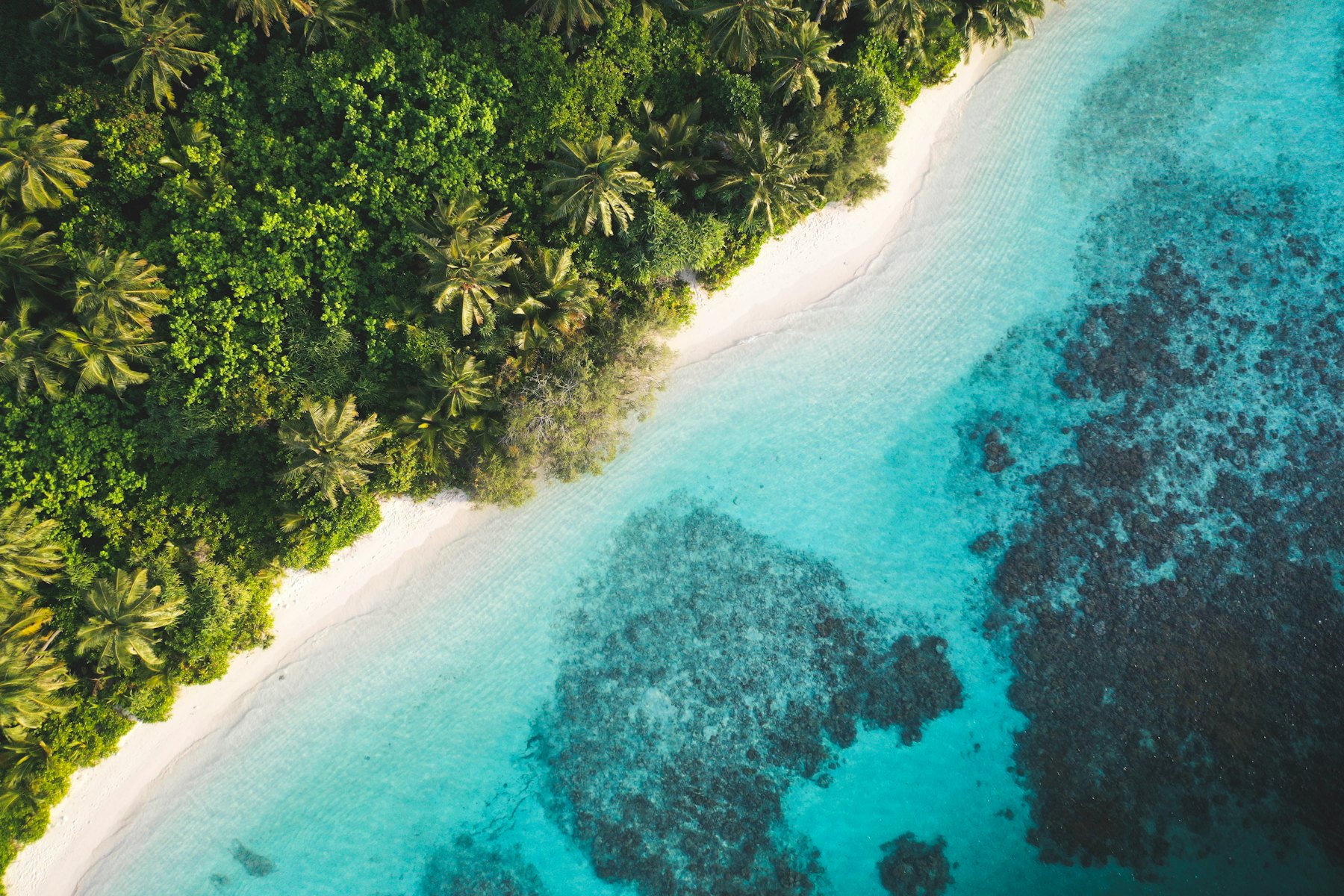 Maldives Tourism Updates Show Strong 2026 Travel Interest